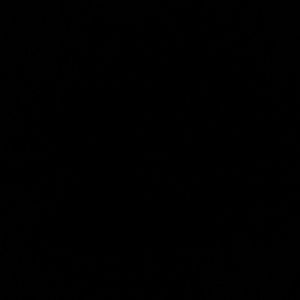 Meet your Posher, Randi